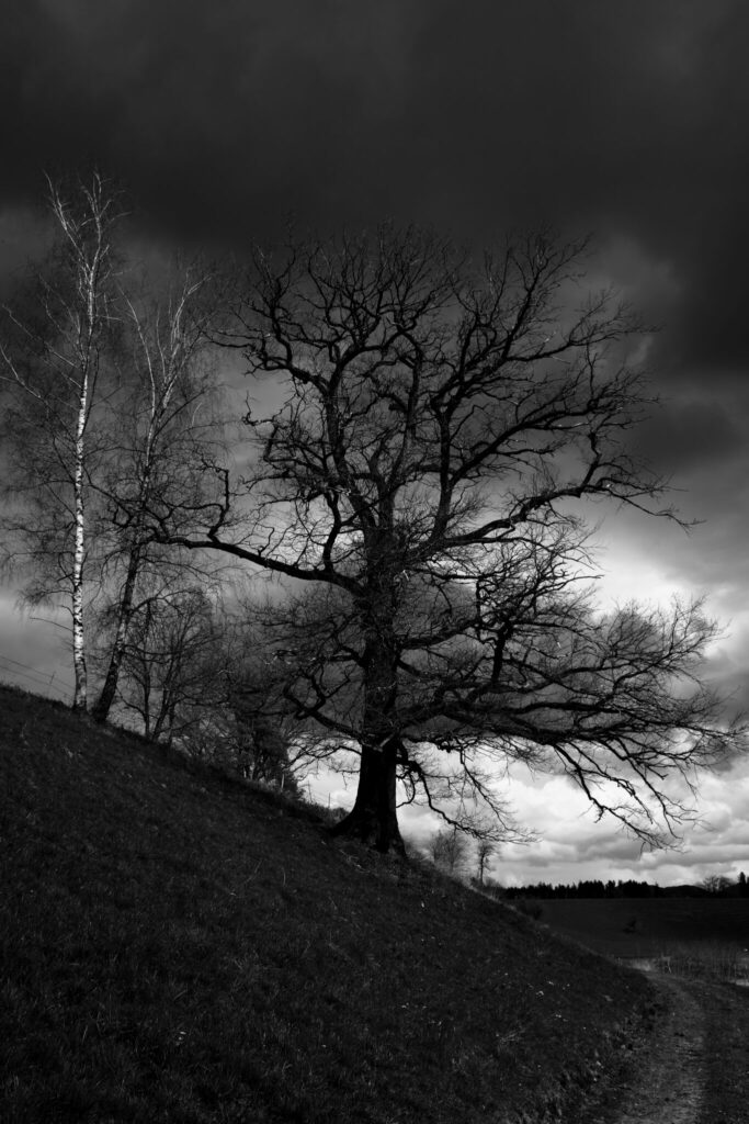 allgaeuer moorwelten drama am himmel - Black&White 23#7 - Die faszinierende Schönheit der Moorlandschaften im Allgäu - Streetfotografie | Landschaftsfotografie | Reisefotografie