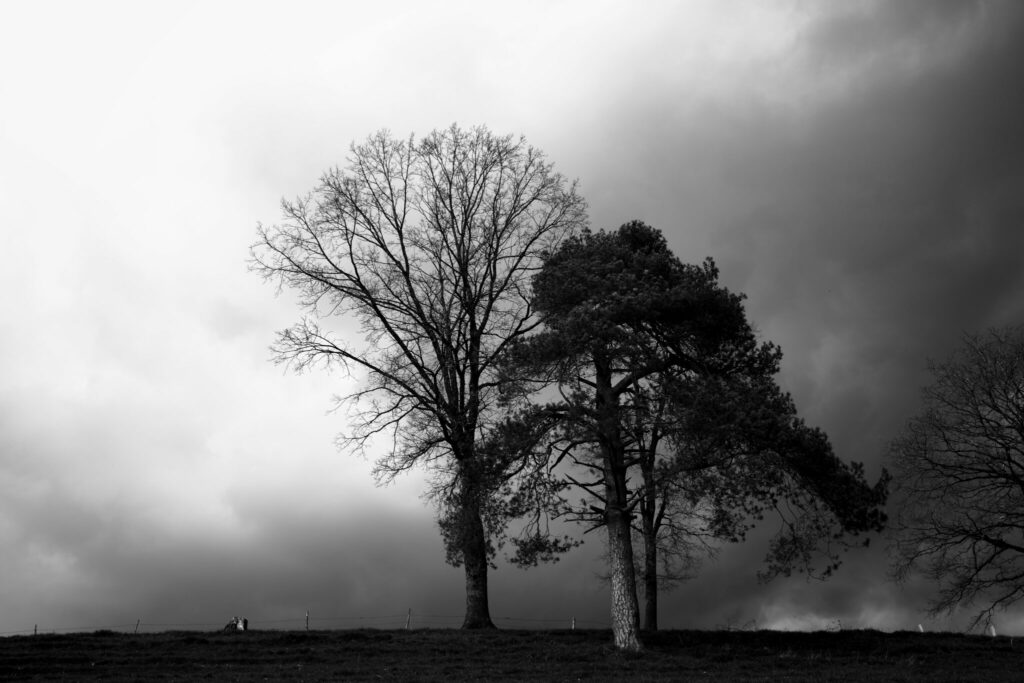 allgaeuer moorwelten kurz vor dem unwetter - Black&White 23#7 - Die faszinierende Schönheit der Moorlandschaften im Allgäu - Streetfotografie | Landschaftsfotografie | Reisefotografie