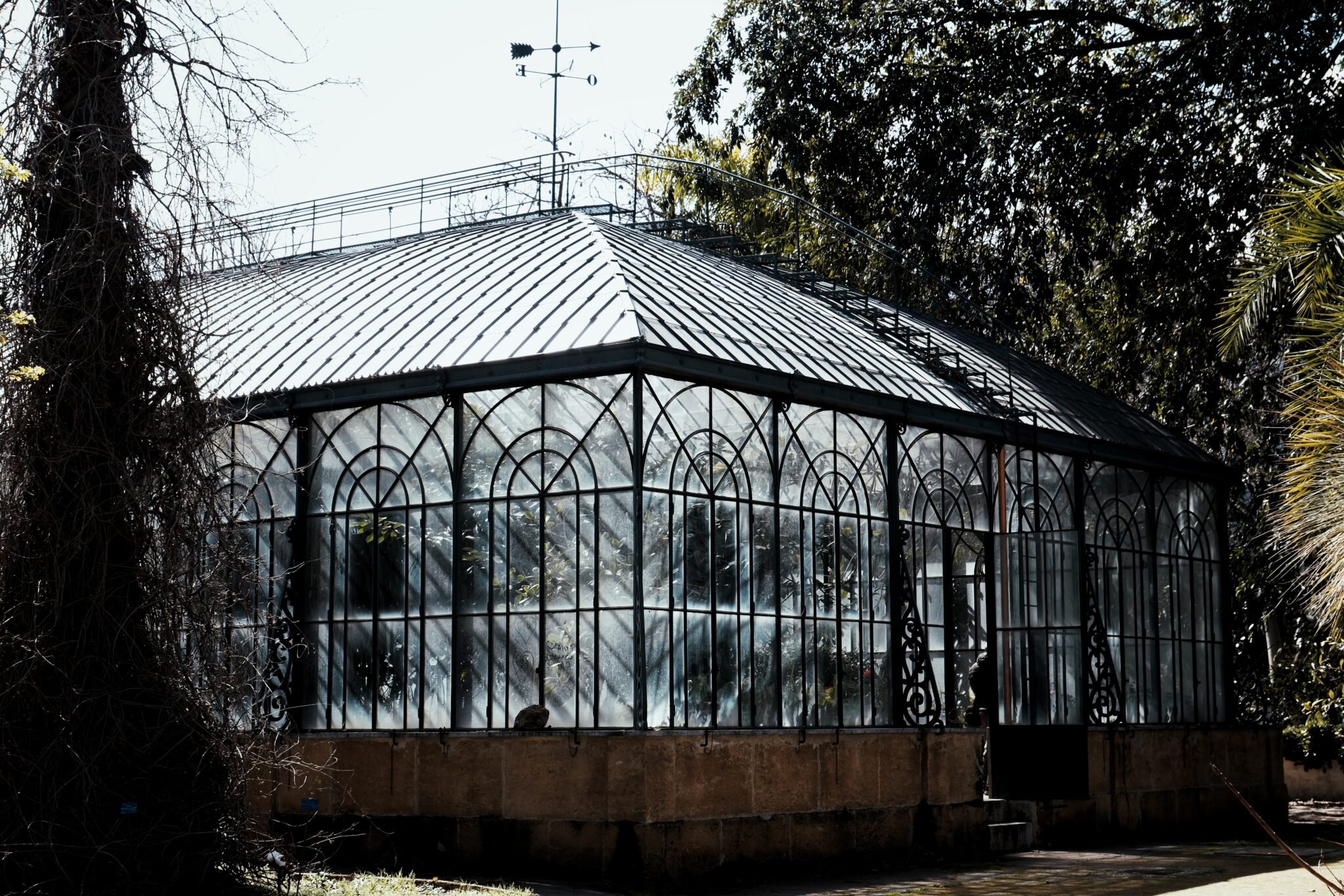 palermo botanischer garten gewaechshaus 1 - Der Botanische Garten von Palermo - Streetfotografie | Landschaftsfotografie | Reisefotografie
