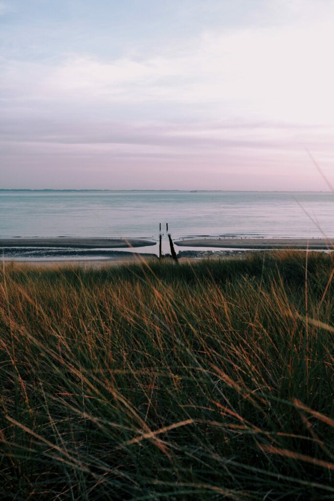 Nordseeküste - Tipps für tolle Fotos in den Dünen - Nordseegräser