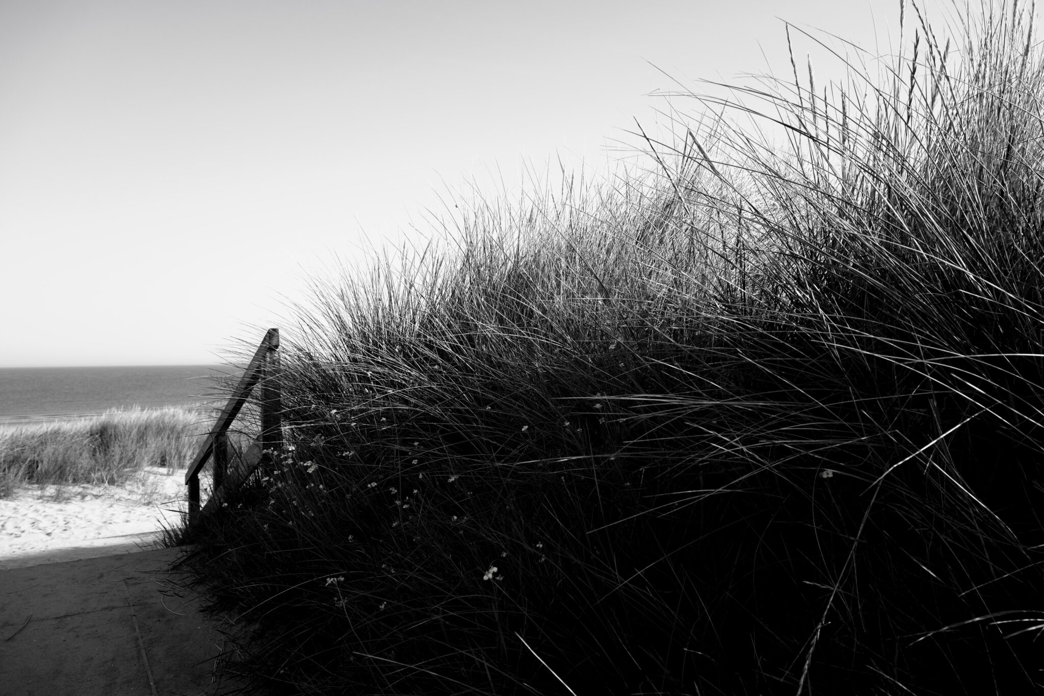Nordseeküste - Nordseestrände - Schwarzweißfotografie