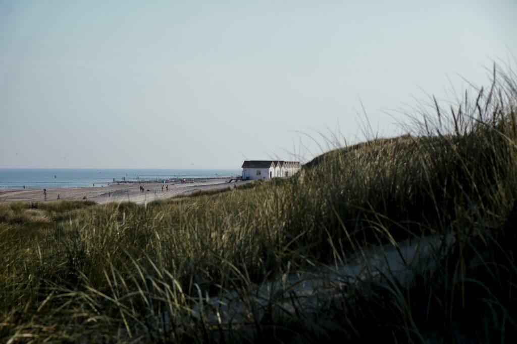 Nordseeküste - Landschaftsfotografie am Strand - Nordseegräser