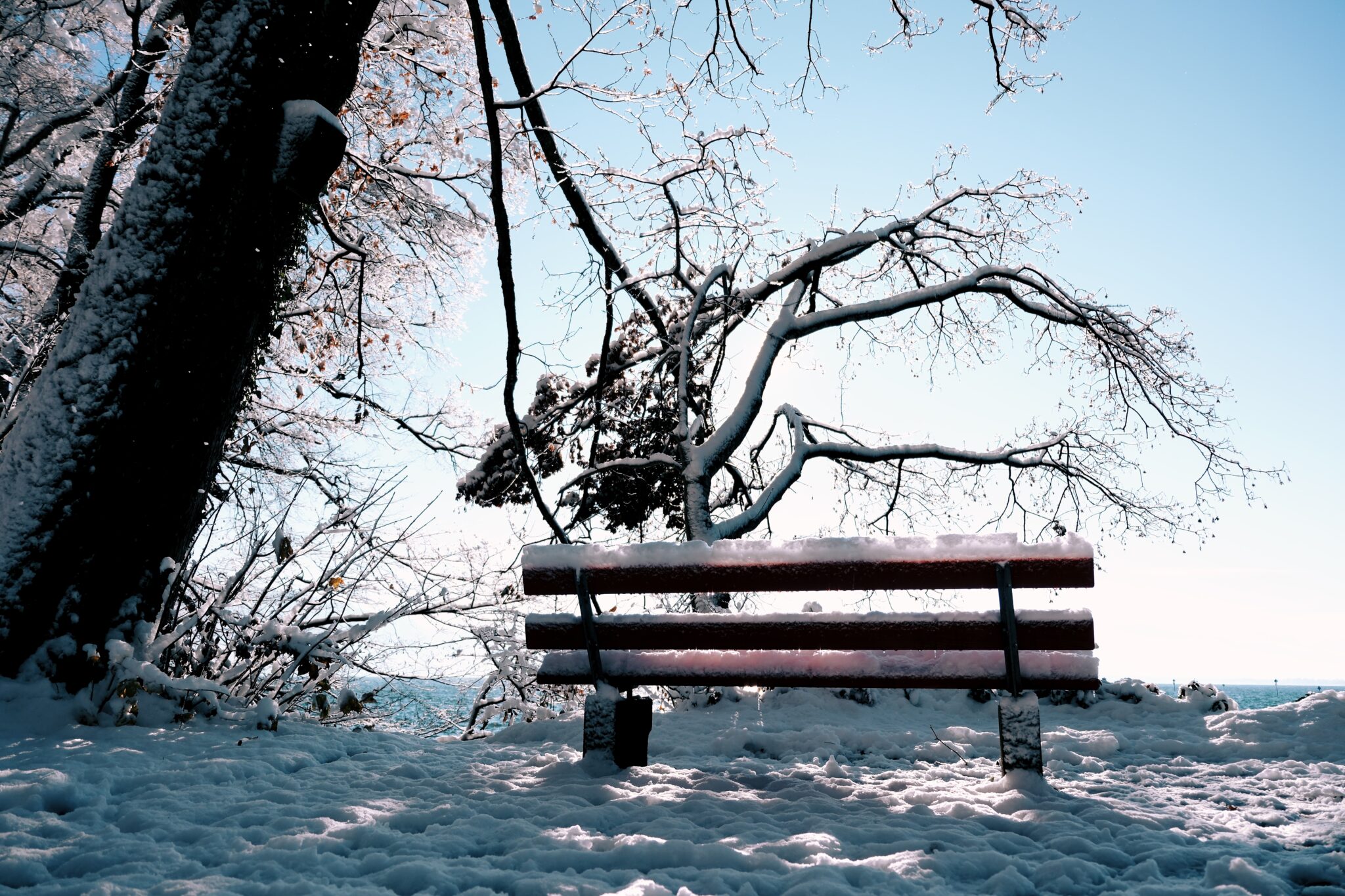 5 Fotografen und Ihre Tipps zum Fotografieren im Winter