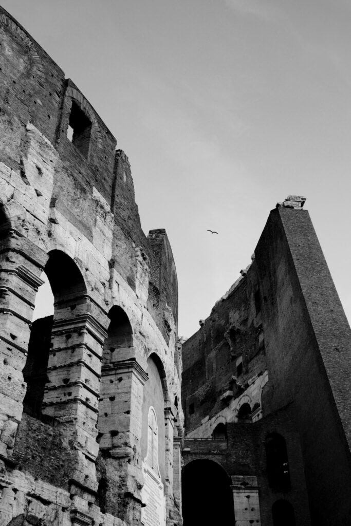 Rom - Kolosseum - Schwarzweiß - Möwe über dem Kolosseum von Rom