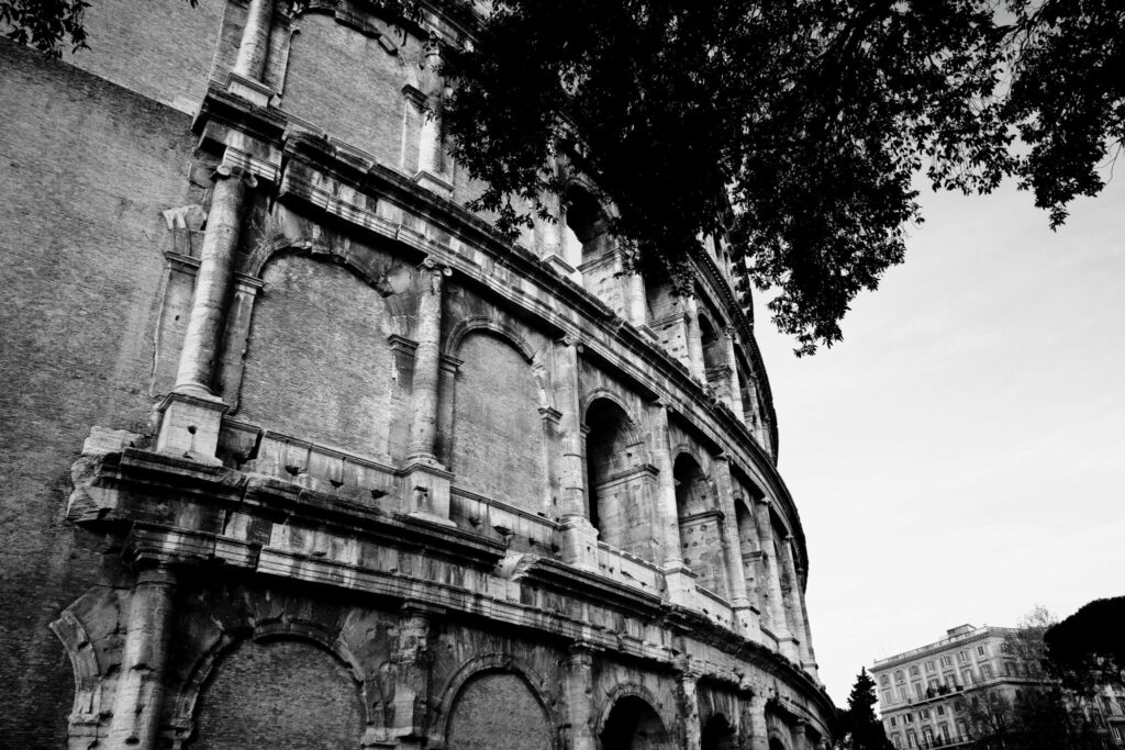 Rom - Kolosseum - Schwarzweiß - Blick durch die Blätter am Kolosseum von Rom