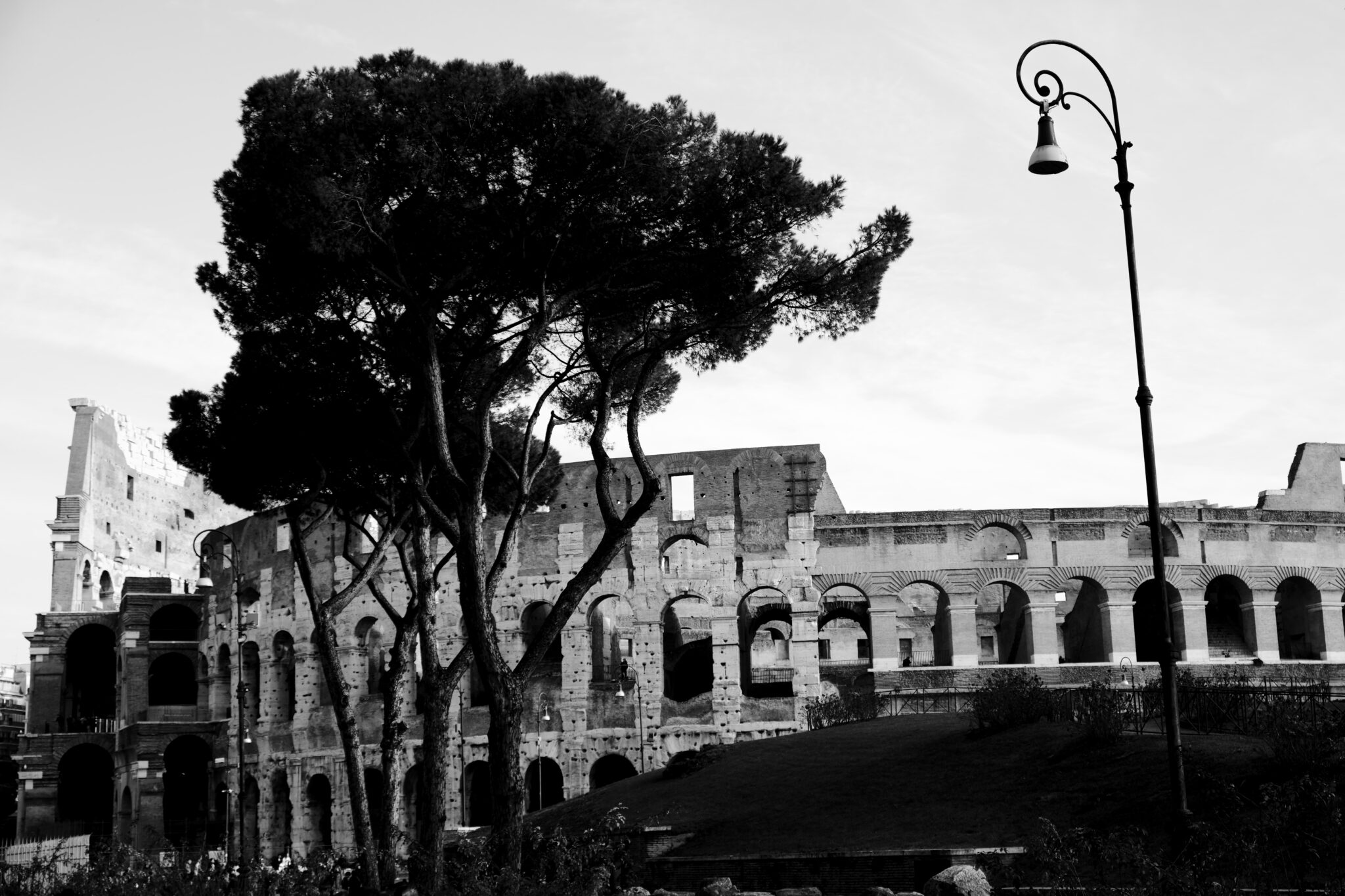 Rom - Kolosseum - Schwarzweiß - Blick über das Kolosseum von Rom