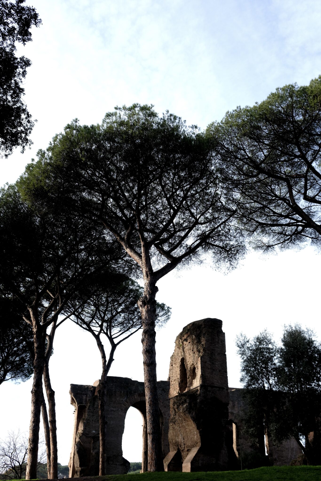 Rom - Das Forum Romanum - 9