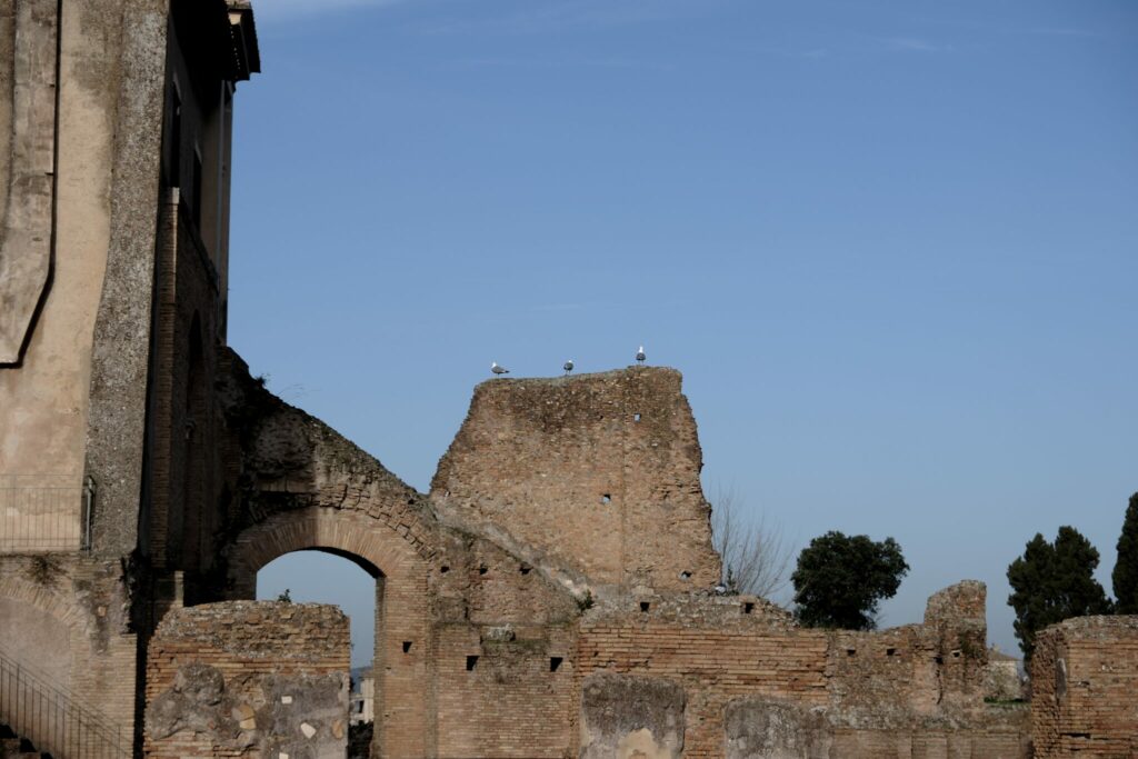 Rom - Das Forum Romanum - 14