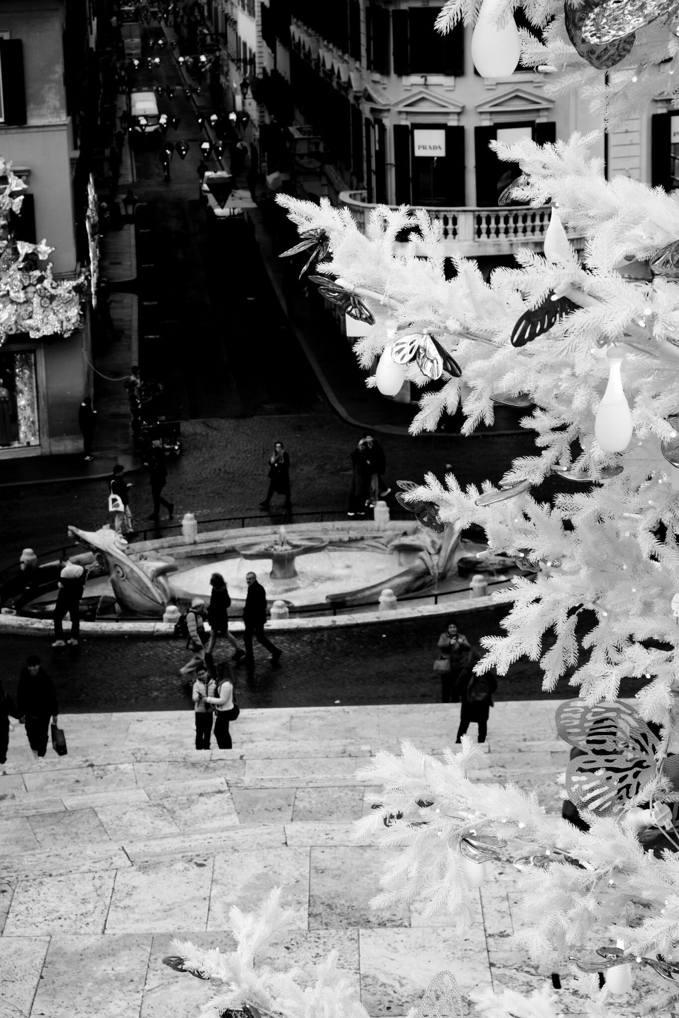 Rom - Spanische Treppe - Monochrom - Durch den Weihnachtsbaum